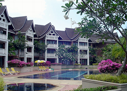 The Allamanda